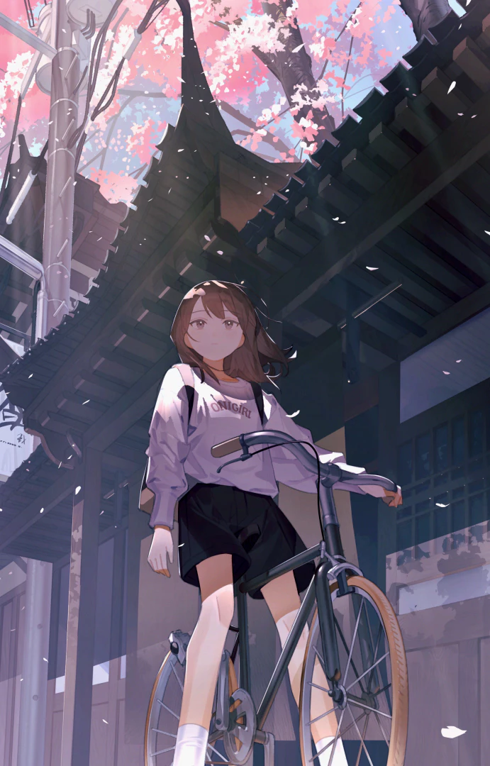 boxmoe_header_banner_img